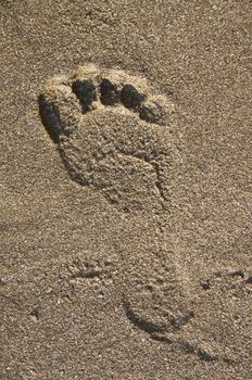 footprint on sand on sea shore