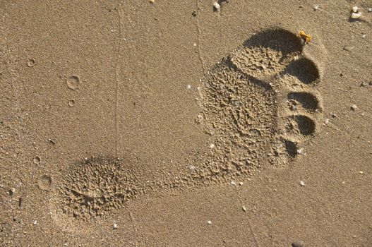 footprint on sand sea beach