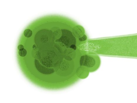 Green Plant Cell and DNA in Needle on White Background