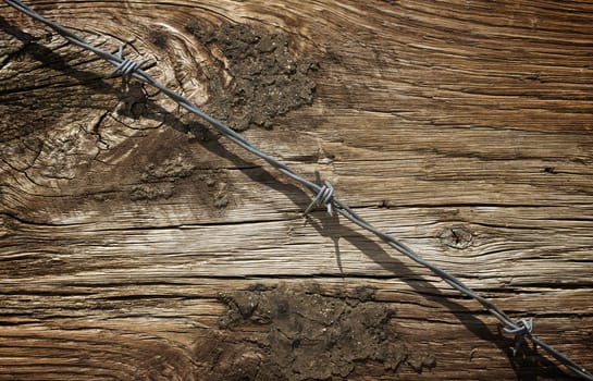 Aged Wood Texture and Barbed Wire Macro Background.