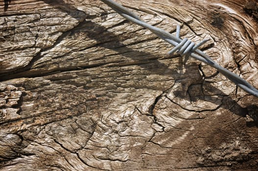 Aged Wood Texture and Barbed Wire Macro Background.