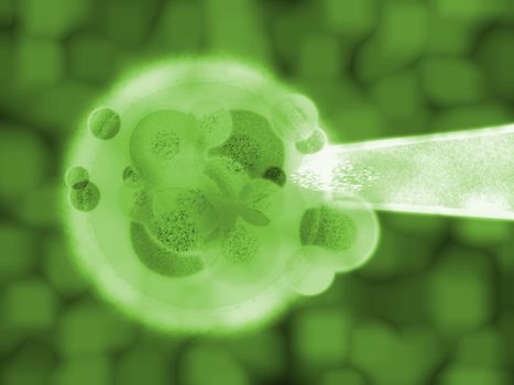 3d Green Plant Cell Matter Medical Illustration