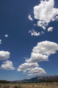 Puffy Storm Clouds Forming and Aged Fence on a blue sky.