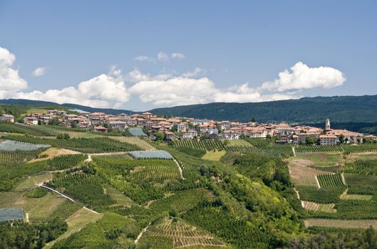 landscape in Val di Sole with the small town Varollo between apples plantations