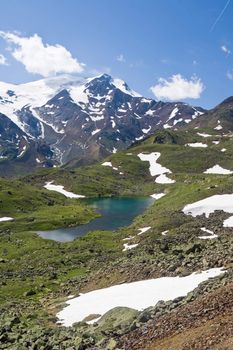 summer view of Cevedale mountain with a small lake in Stelvio National park, Trentino, Italy.