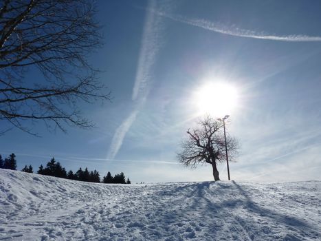 Snowy hills and trees in the mountain by beautiful weather