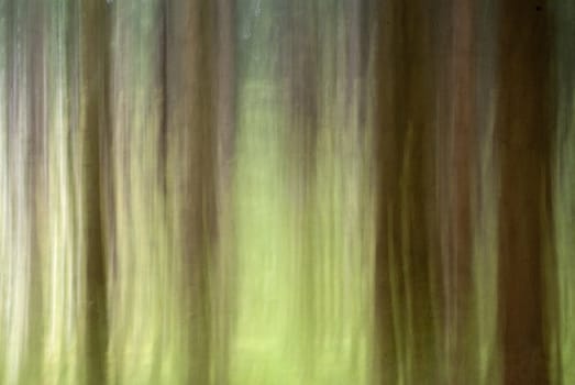 portrait of abstract nature background with blur