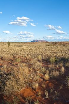 Detail of the Australian Outback, Northern Territory, Australia, August 2009