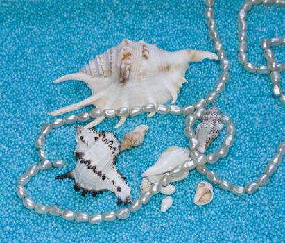 The image of cockleshells and pearls thread on a blue background