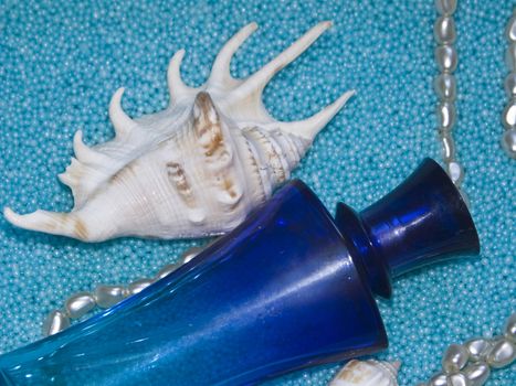 The image of a bottle of perfume and cockleshells on a dark blue background