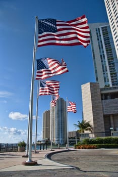 Miami, Florida, on a Hot and Sunny Spring Morning