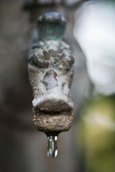 Drop falling down from a Fountain Head