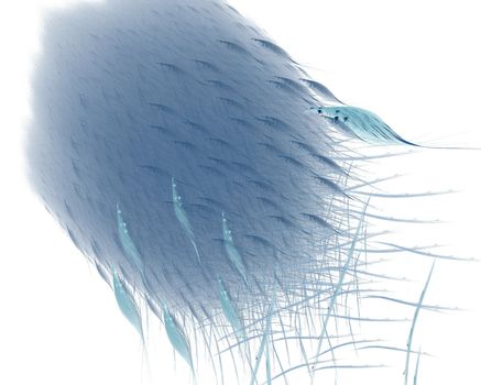 Abstract grouped blue feathers on a white background