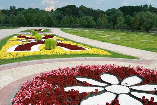 Flower beds with a beautiful multi-coloured ornament 