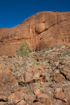 Australian Outback during Austral Winter, 2009