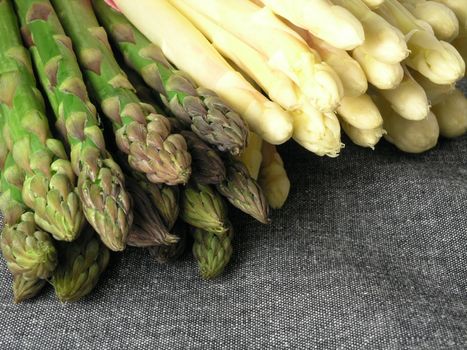  bunch of asparagus isolated on dark background