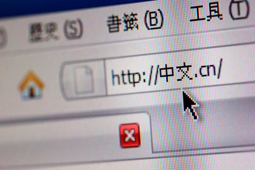 A chinese domain name in browser. "����" means chinese.