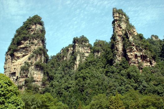 China, Hunan province - national park ZhangJiaJie. Unique landscape with trees, bushes, hills and cliffs.