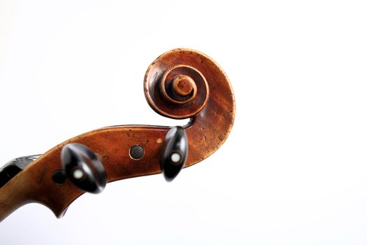 Details of violin head