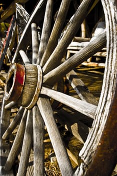 Wooden carriage wheel