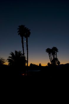 Silhouette of palm trees against a sunset and moon