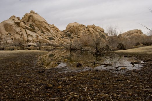 remaining water in a drying lake