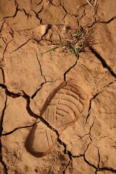 a step print and braird on dried land
