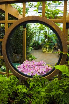 Flowers under a gazebo