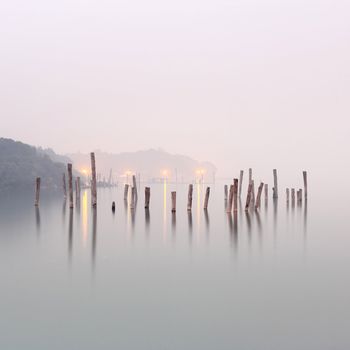 wood in water