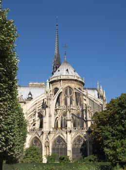 An Image of Notre-Dame Cathedral in Paris