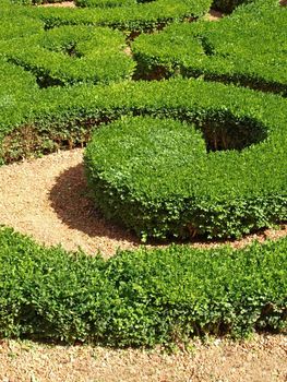 a close-up of a french garden in a parisian museum