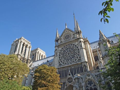 An Image of Notre-Dame Cathedral in Paris