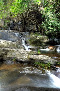 The beautiful waterfall in forest, spring