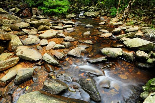 beautiful water spring in forest