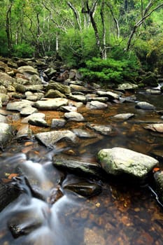 beautiful water spring in forest