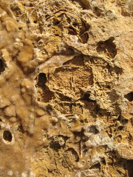 a close-up image of a sea rock