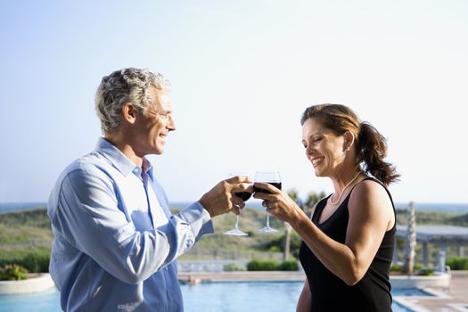 Caucasian mid-adult couple making toast with wine glasses.