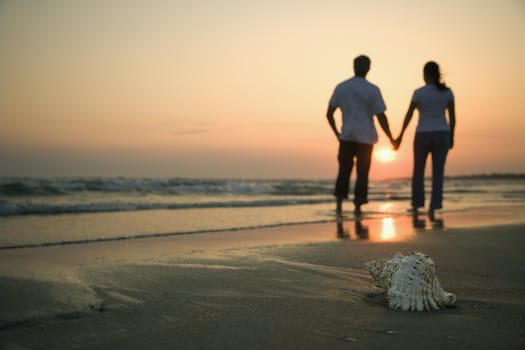 Back view of mid-adult couple holding hands walking on beach with seashell in foreground.