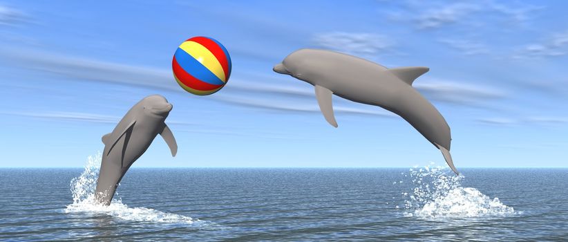 dolphins playing with a beach ball