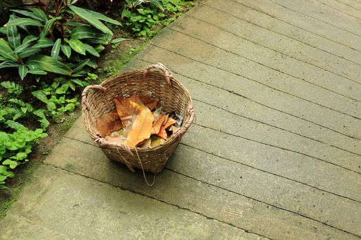 basket in garedn with dry leaf