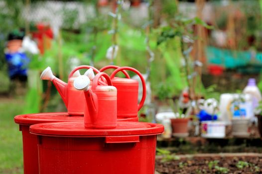 plastic watering can in garden