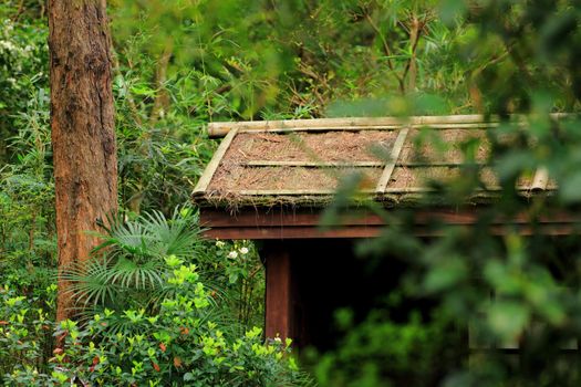 hut in wood