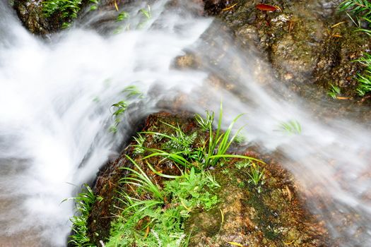 The beautiful spring in forest , long exposure