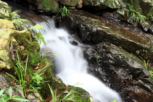 The beautiful spring in forest , long exposure