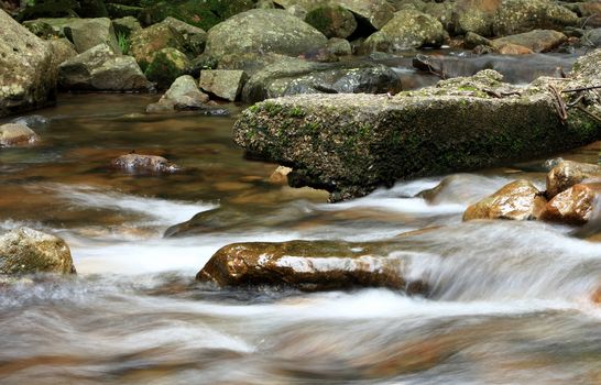 The beautiful spring in forest , long exposure