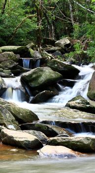 water spring in forest