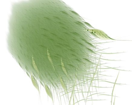 Abstract grouped green feathers on a white background