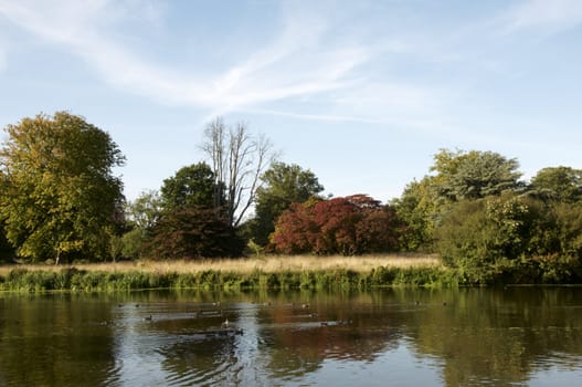 A lake in summer in the countryside