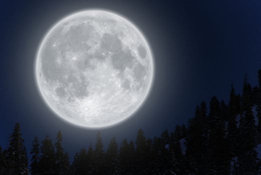 Full moon rising above conifer trees against clear sky.