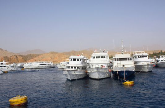 Boats are docked in the seaport of Egypt.